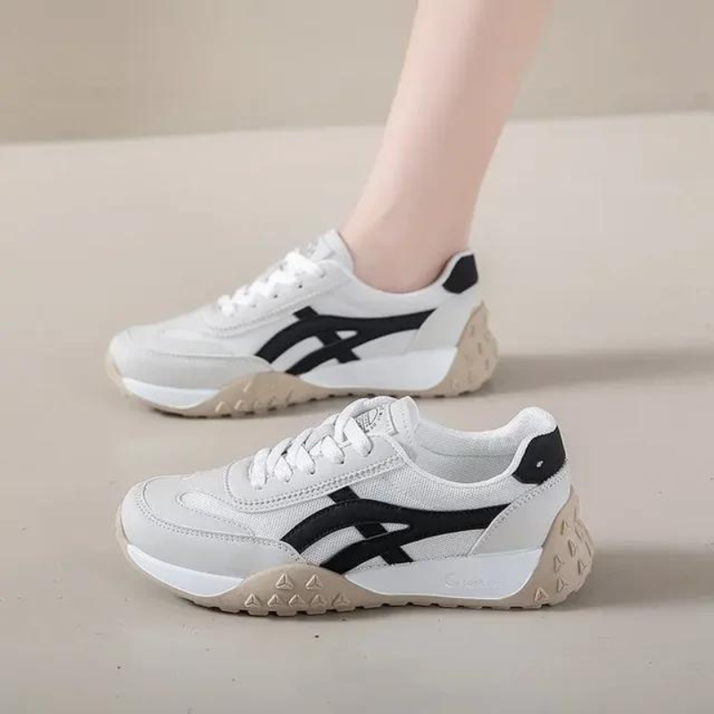 مينوكونفورت | مينوبيا